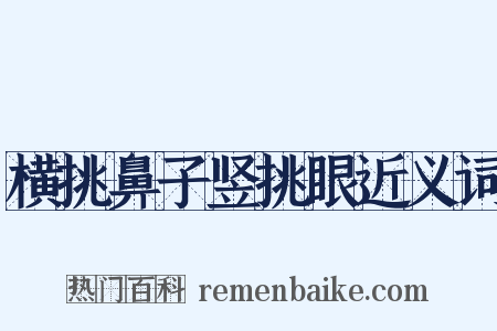 横挑鼻子竖挑眼近义词是什么意思的图片
